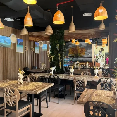 light wood dining chairs