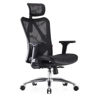 Ergonomic Office Chairs