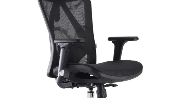 Why Ergonomic Office Chairs are a Must for Employee Productivity