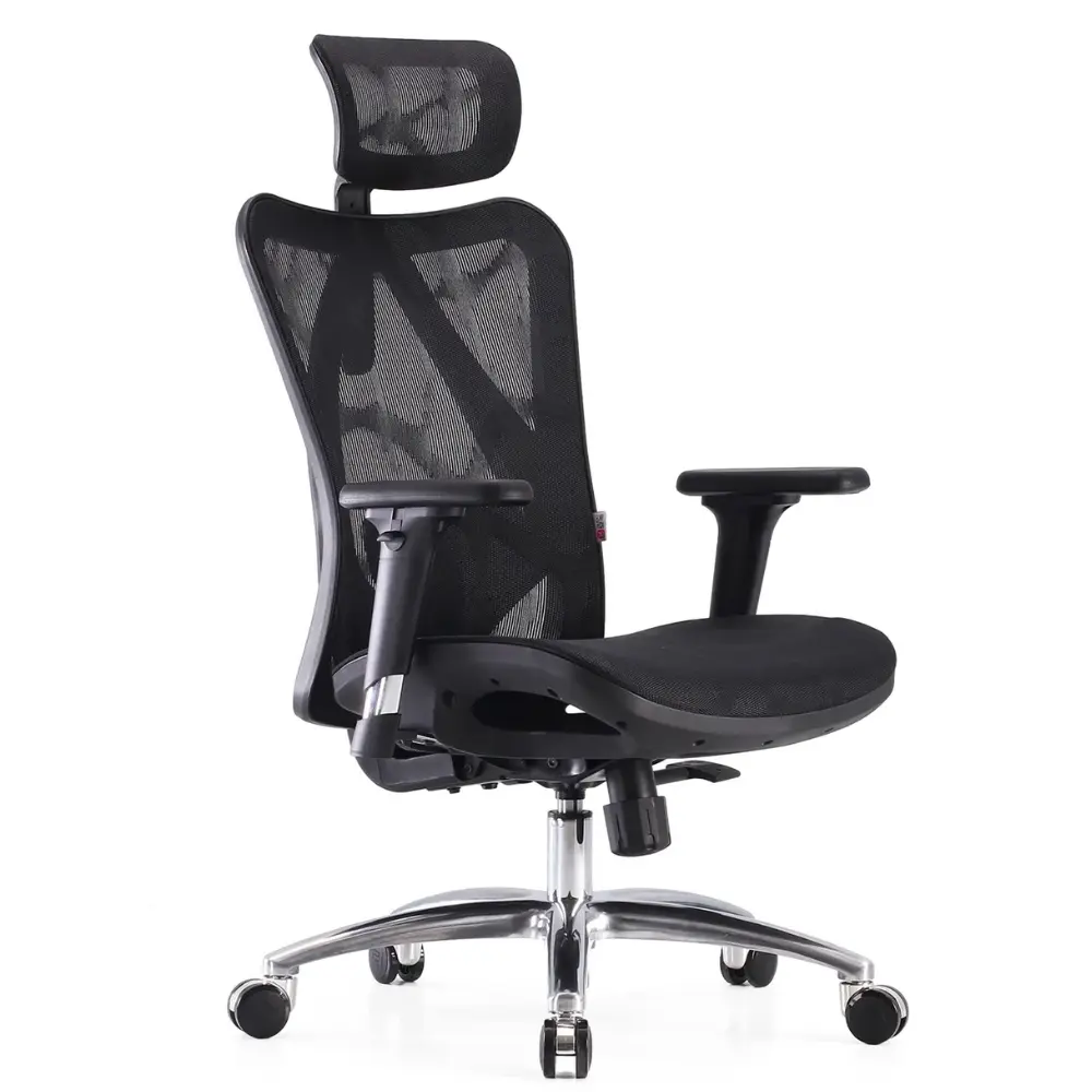 Why Ergonomic Office Chairs are a Must for Employee Productivity