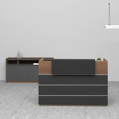 Modern Reception Desk