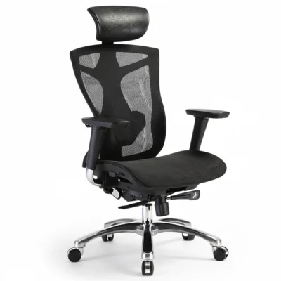 Ergonomic Mesh Office Chair