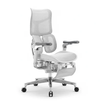 chair ergo