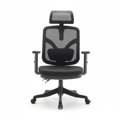 chair for Tanzania offices chair for Tanzania offices